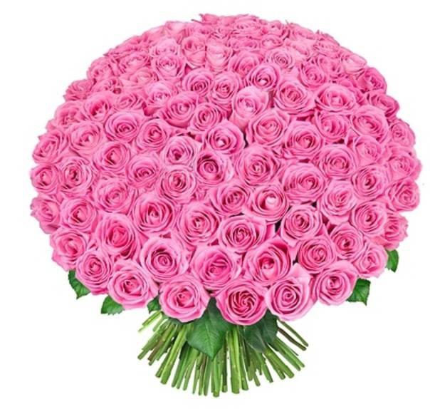 101 роза розы доставка роз по москве и подмосковью - Продажа…